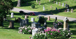 Sandra Clark Funeral Home